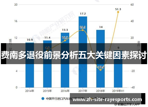 费南多退役前景分析五大关键因素探讨