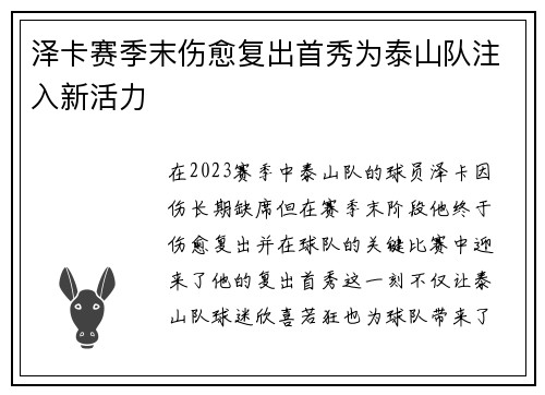 泽卡赛季末伤愈复出首秀为泰山队注入新活力
